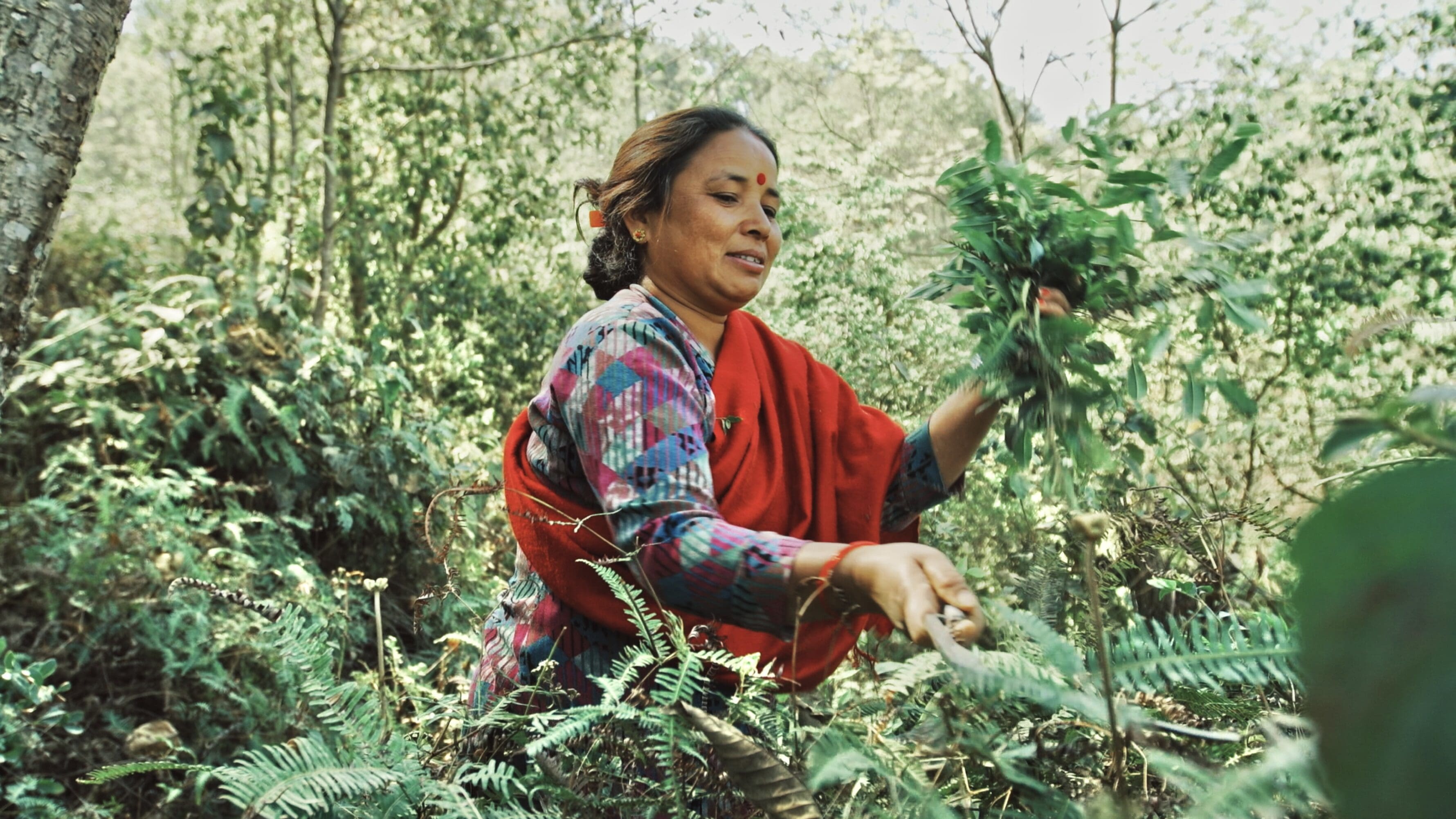 La sagesse et le leadership des femmes sont essentiels pour que le nouvel engagement ait un impact significatif