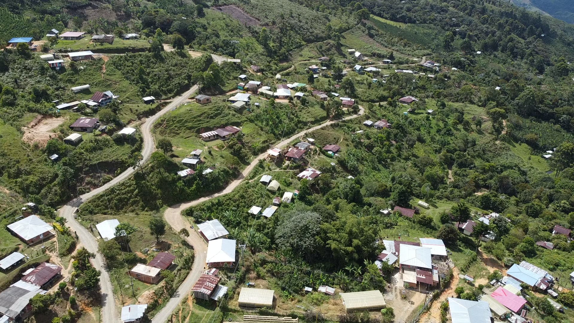 When Communities Lead: Lessons Learned from the Tropical Andes Grant