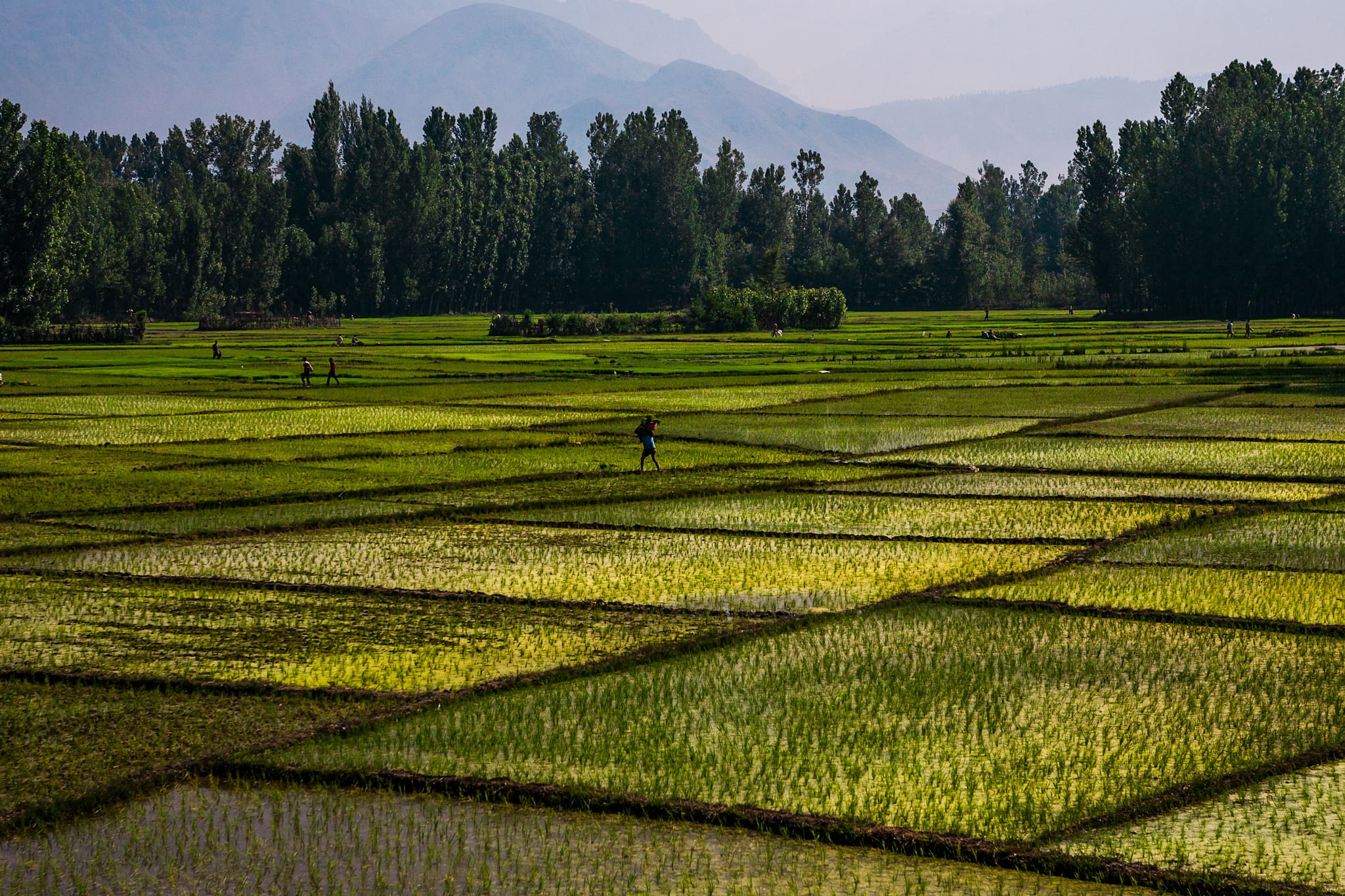 Natural Resources In India As An Element Of National Power