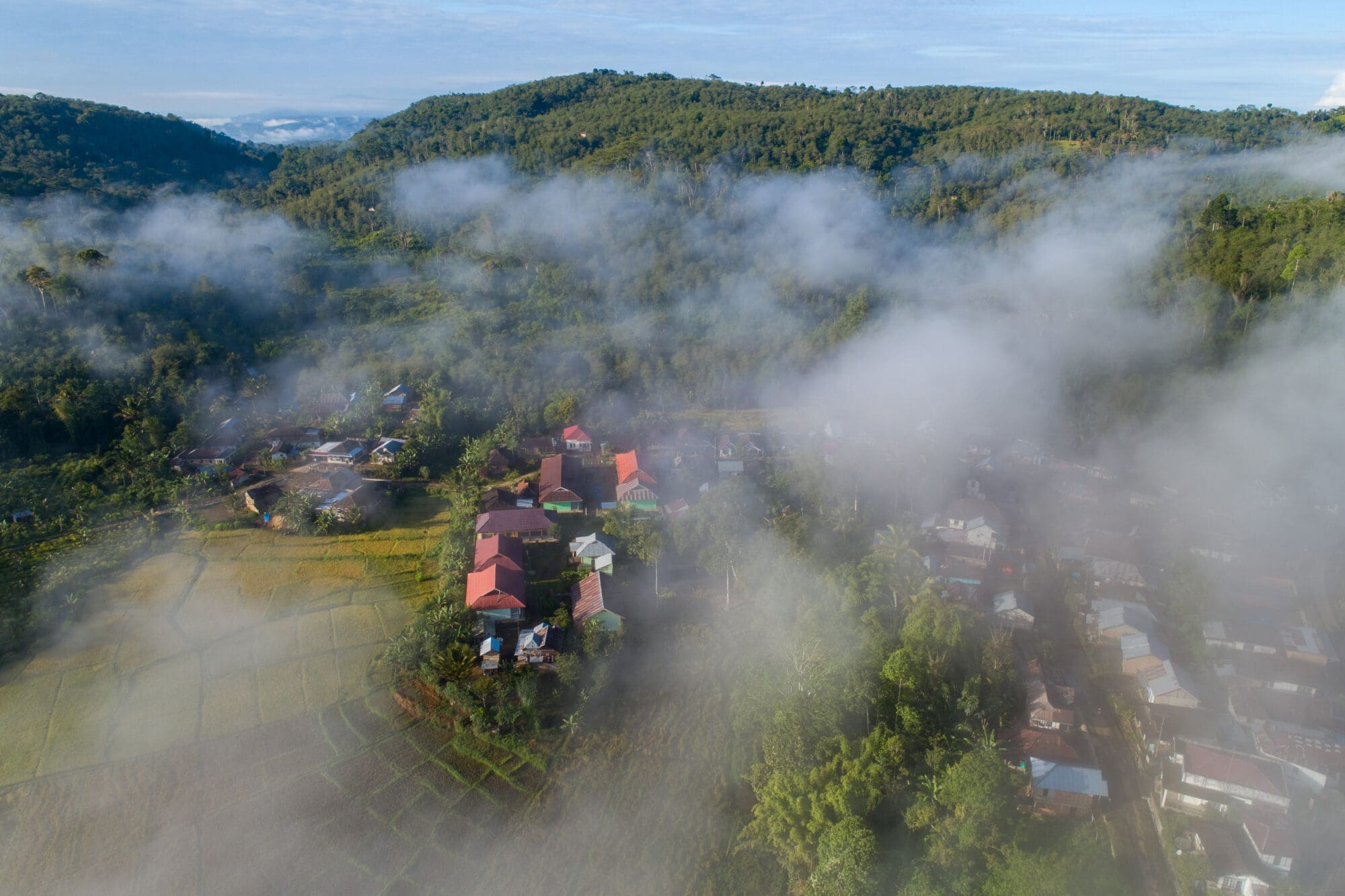 Realidades locales y objetivos globales: Abrir caminos hacia una conservación basada en los derechos y liderada por las comunidades