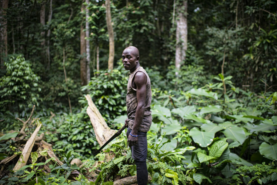 Forest near Village of Ngon, Ebolowa District, Cameroon. Photo by Ollivier Girard for CIFOR.