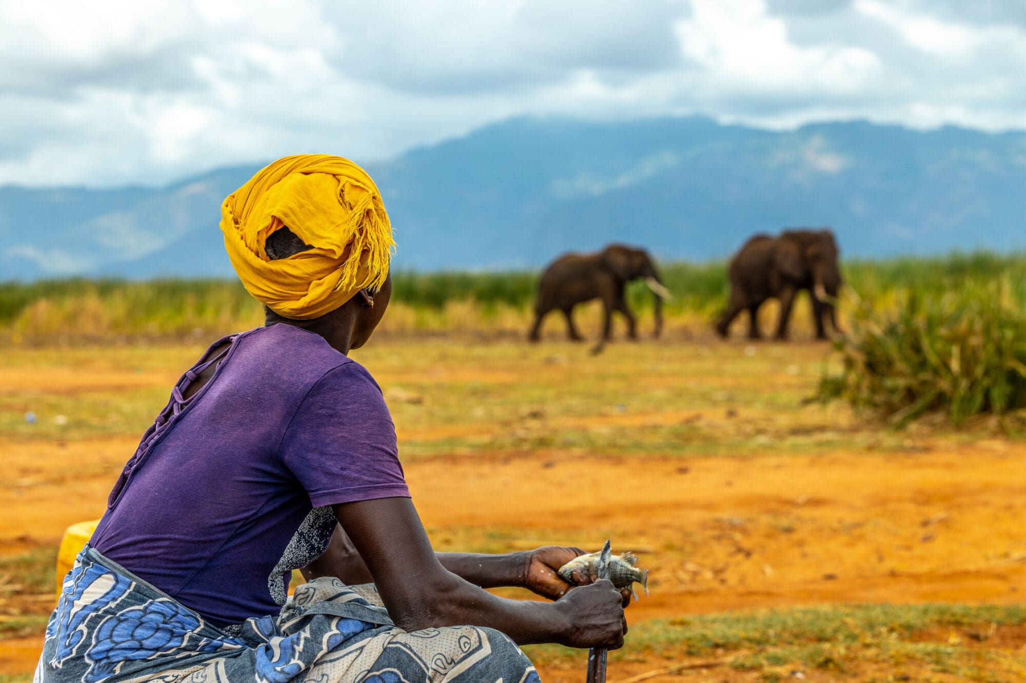 Compromiso de la COP30: Ampliar la Financiación Directa para los Pueblos Indígenas, los Pueblos Afrodescendientes y las Comunidades Locales