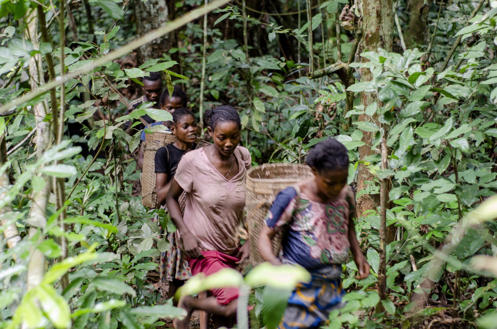 From Rights to Livelihoods: RRI Launches Global Network to Scale Community-Led Economies for People and Planet at COP30