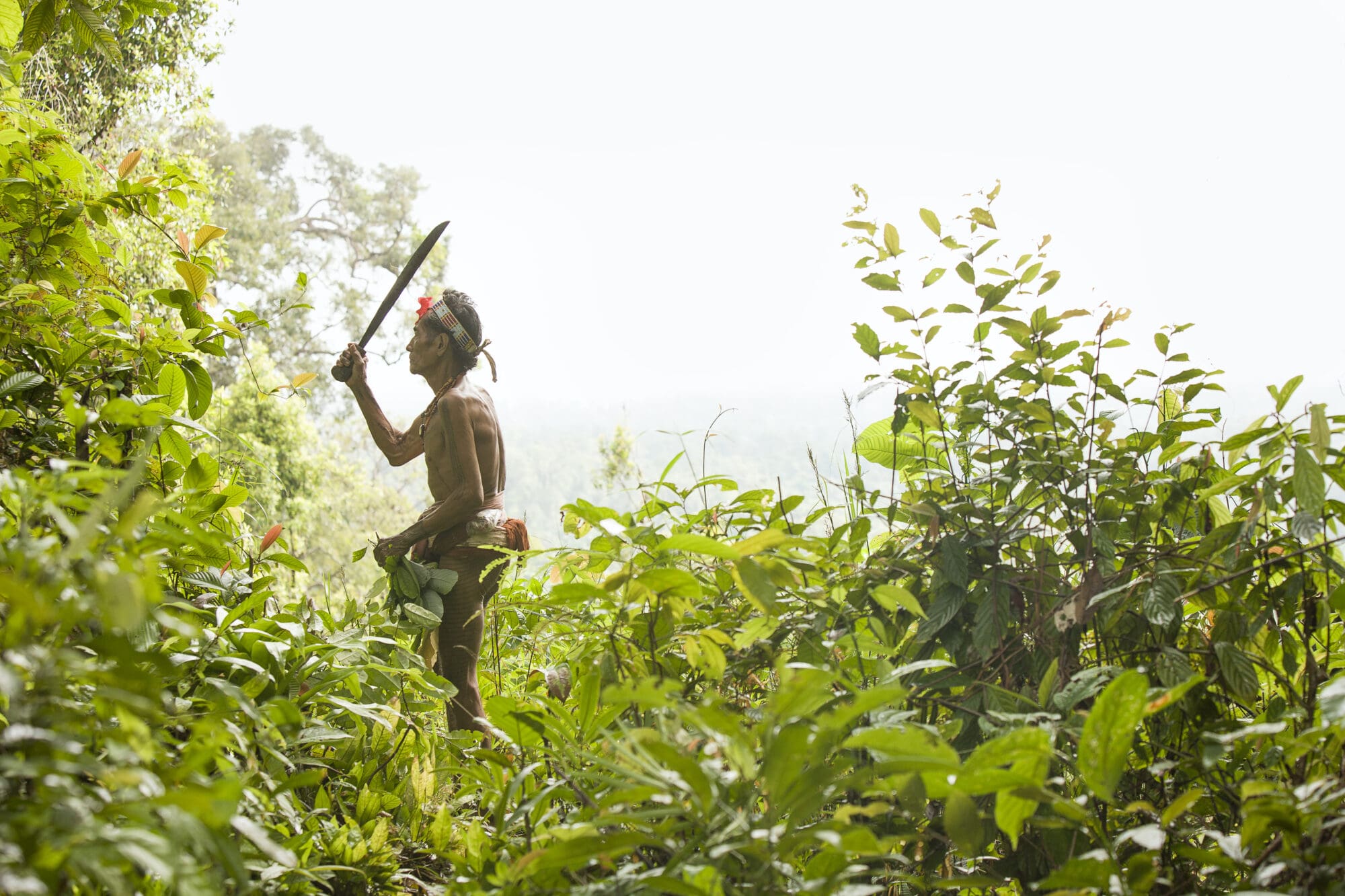 Protegendo Comunidades para Salvar o Planeta