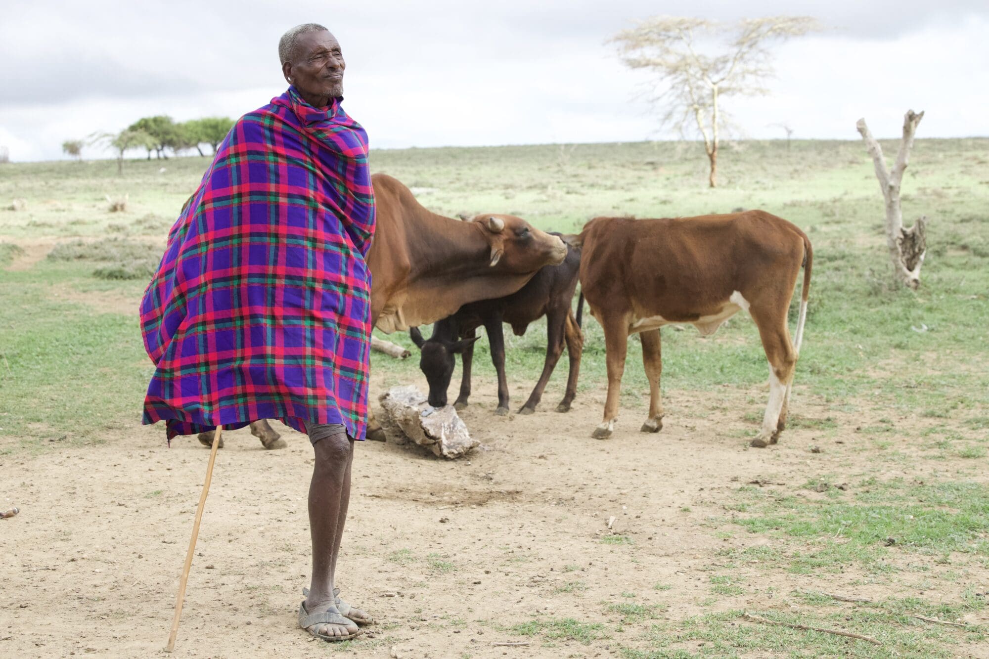 From Local Action to Global Negotiations: Connecting Young Leaders for Sustainable Land Management