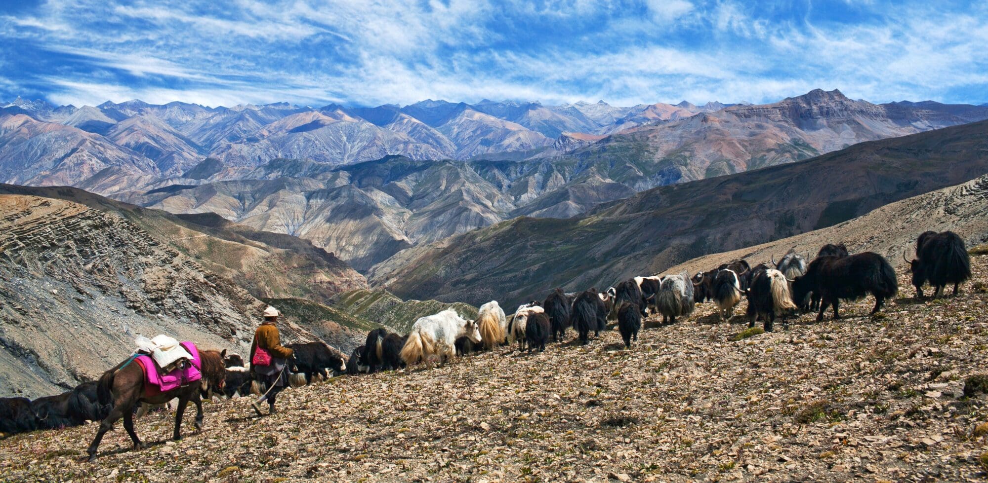 From Evidence to Reform: Advancing Pastoralist Tenure Security Through Legal and Policy Change