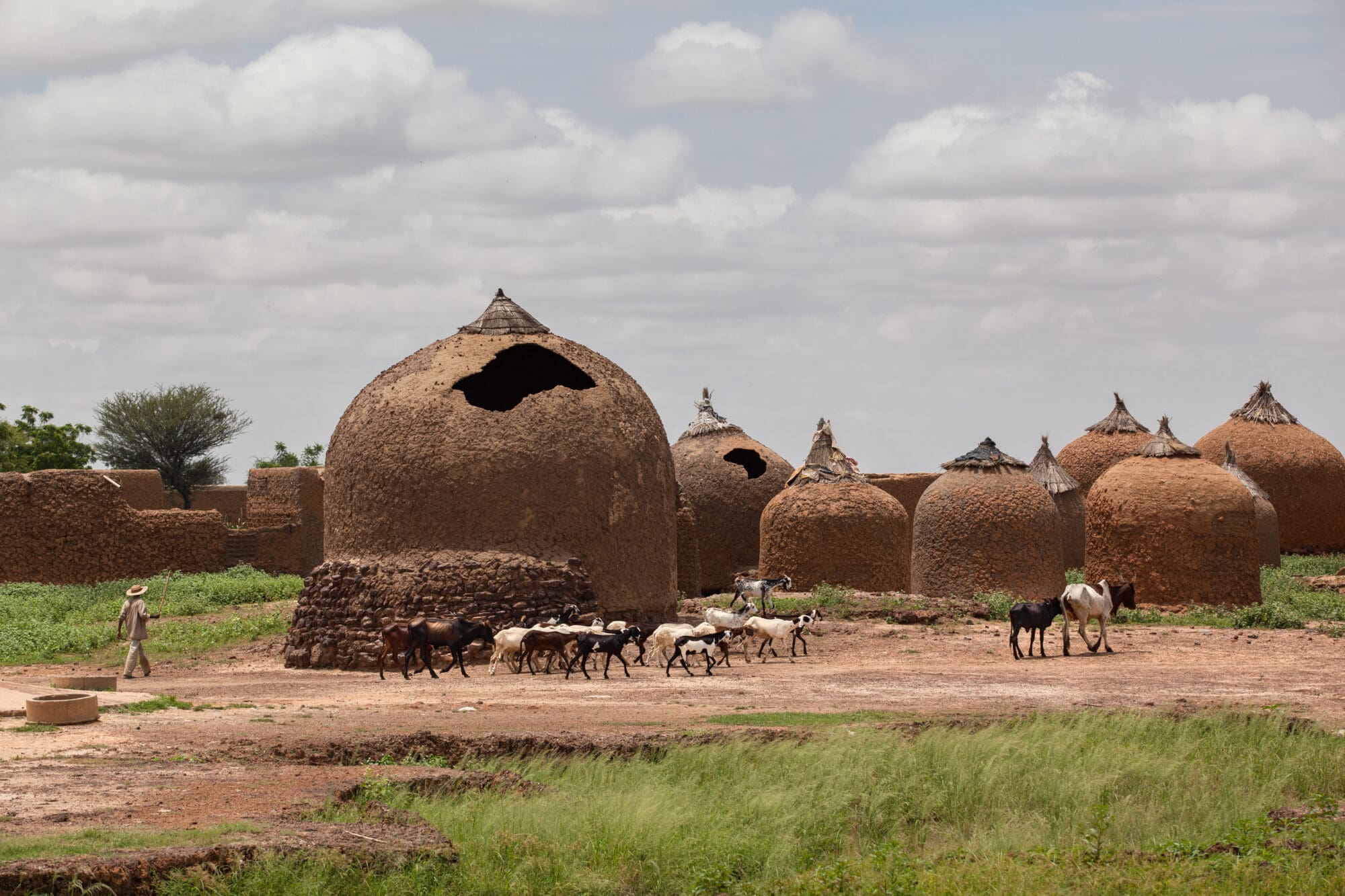 Investing in Pastoralism: Unlocking Climate Finance, Technology, and Partnerships for African Pastoralist Systems