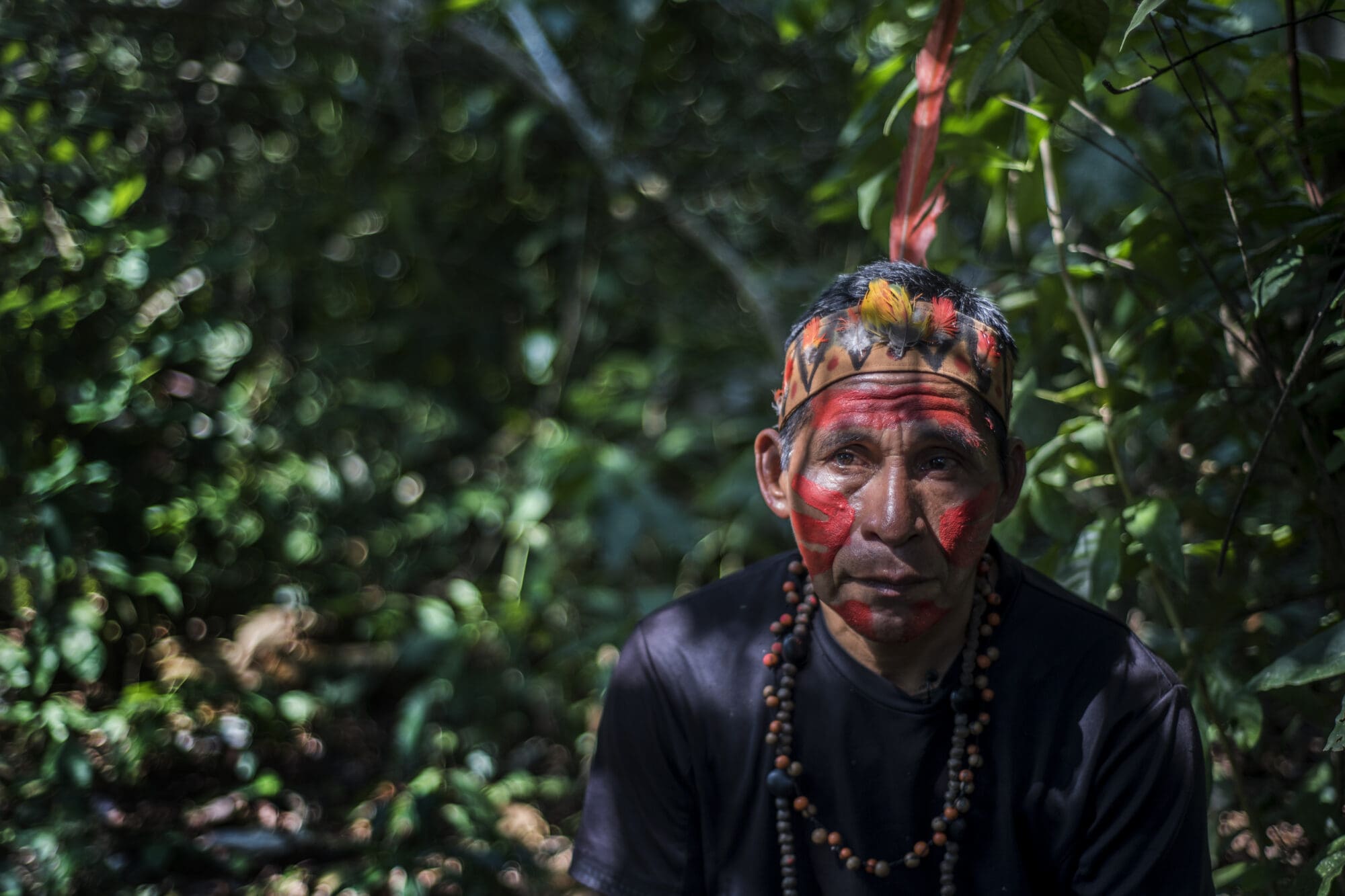 Evento de Alto Nivel sobre los Paquetes Nacionales para los Bosques, el Clima y la Naturaleza