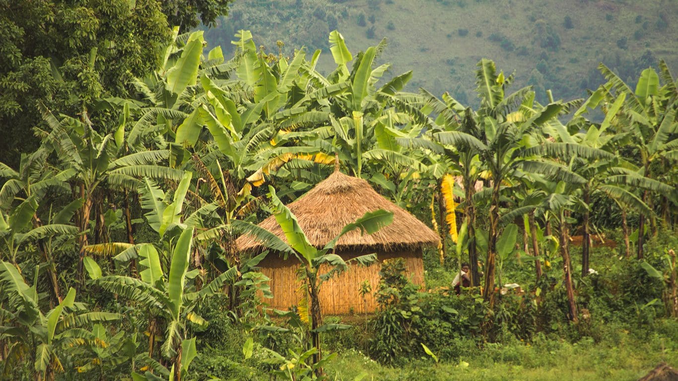 Justicia y Bienestar Dentro de los Límites Planetarios: Caminos hacia la COP30