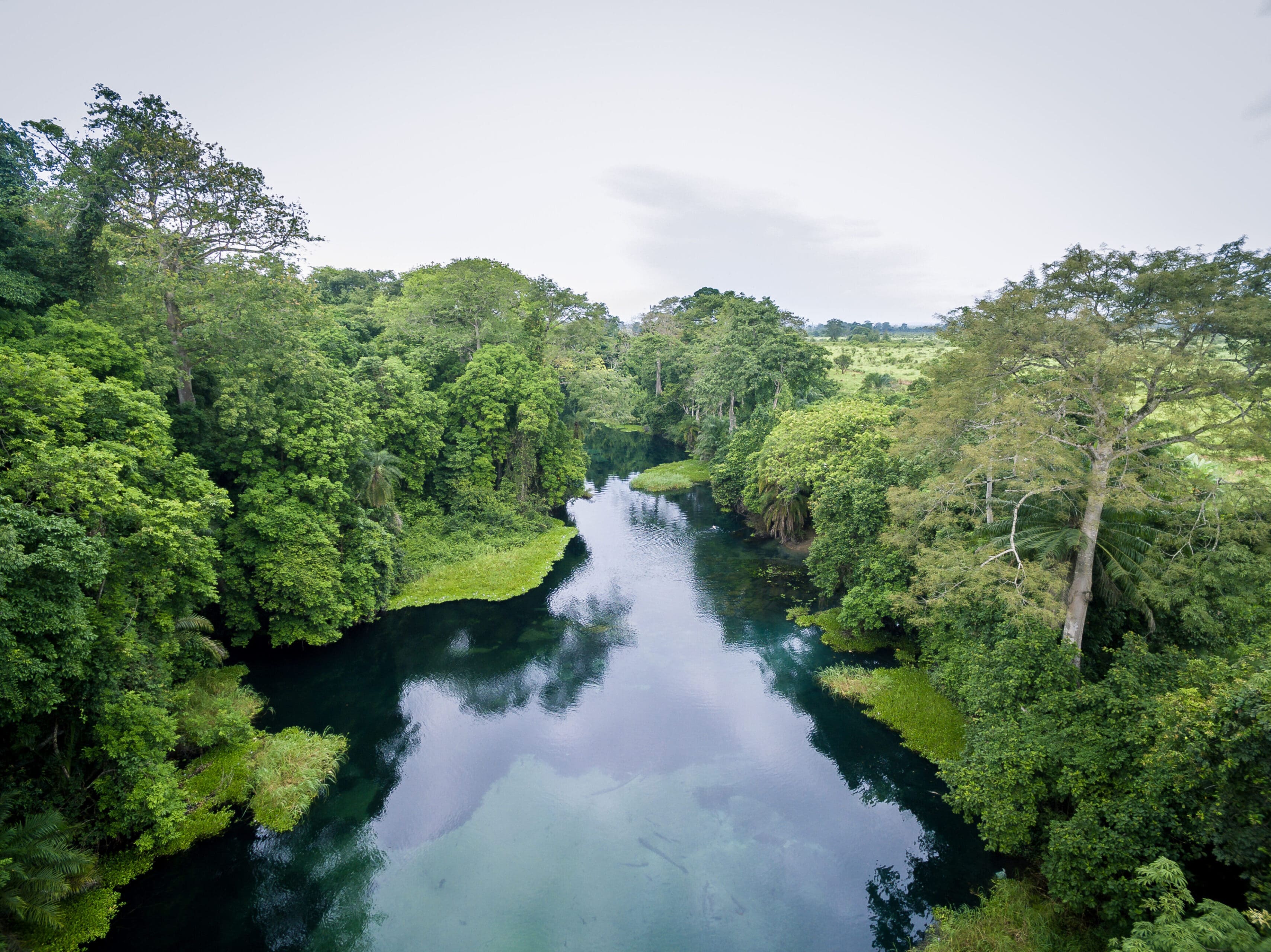 Press Release: New Analysis Finds World is Running Out of Time to Recognize Community Forest Rights Before 2030