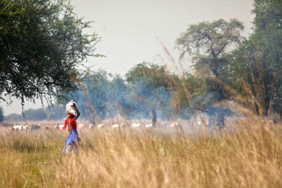 South Sudan at a critical crossroads: The urgent need to secure land ...