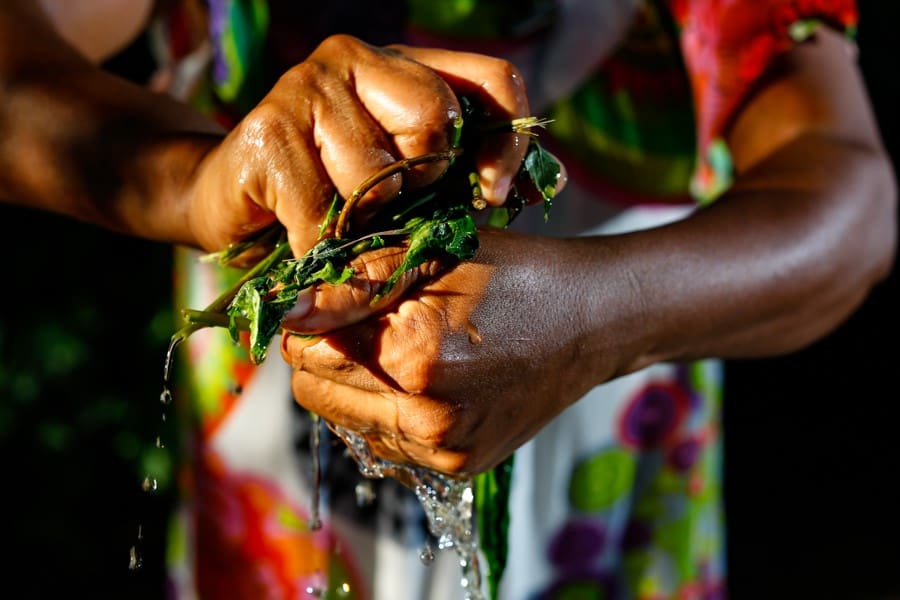 Marés de Justiça: Povos Afrodescendentes e os Maritorios
