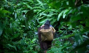Peru Amazon Tribe Photo Gallery