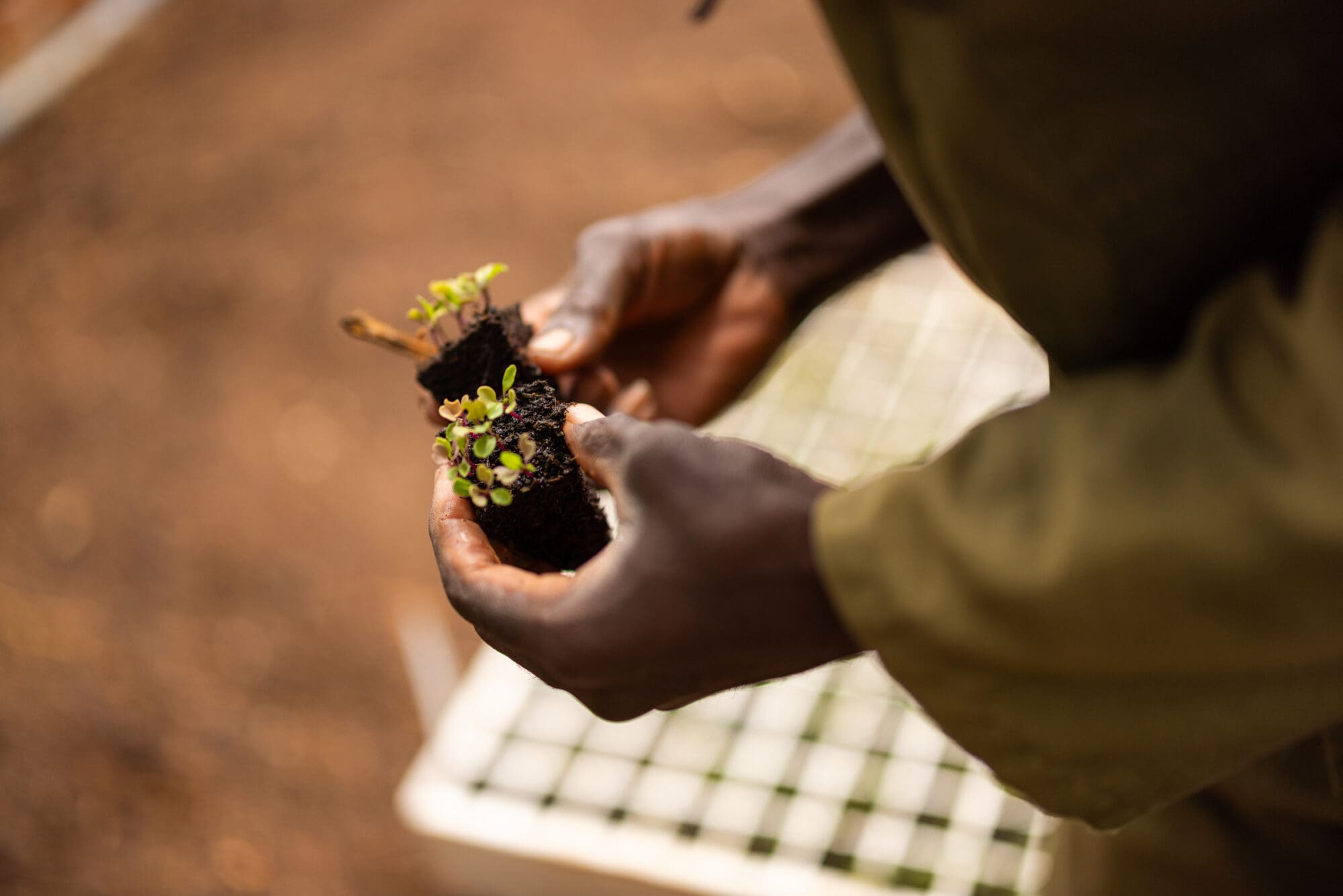 Impulsar la Integración de la Gobernanza de la Tierra en el Marco de la CMNUCC